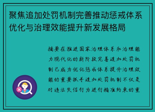 聚焦追加处罚机制完善推动惩戒体系优化与治理效能提升新发展格局